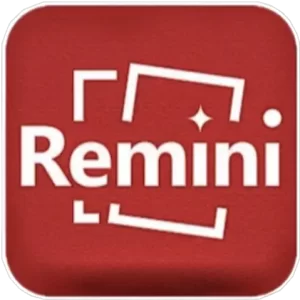 this image is related to
remini pro logo